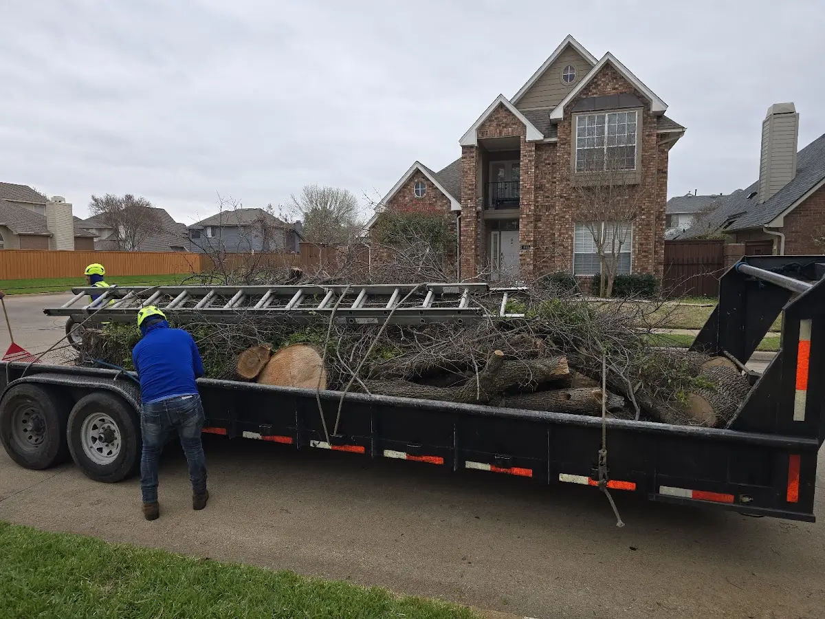 Expert Tree Fertilization with proper safety equipment in Patch Grove